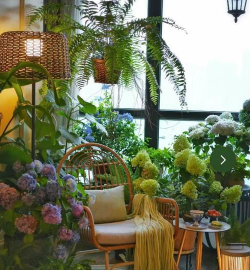 家庭养花用生根粉