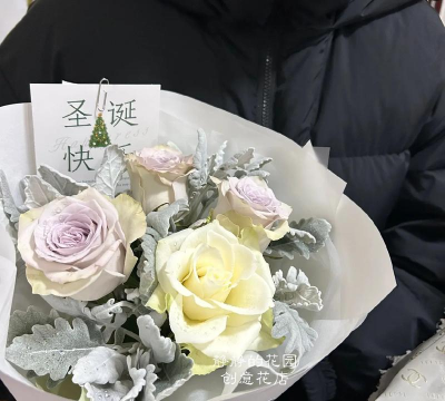 银叶菊怎么搭配花束