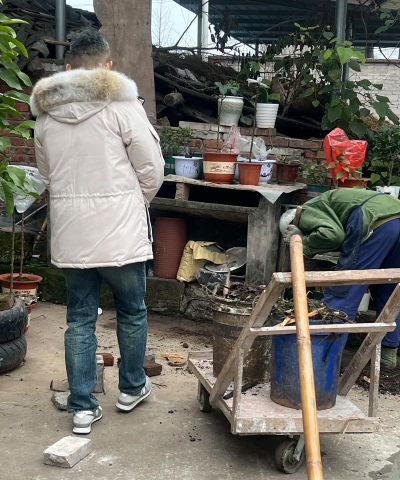 家庭养花用生根粉