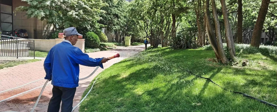 刚种的草皮怎么养护