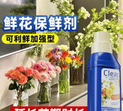 家庭养花用生根粉