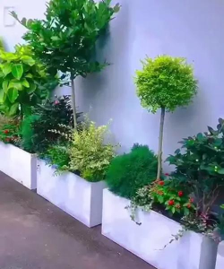 花盆方形花盆养花