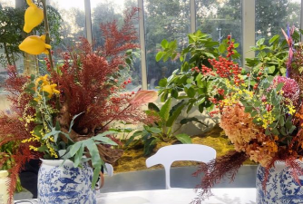 家庭养花用生根粉