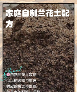种兰花怎么自己制作土