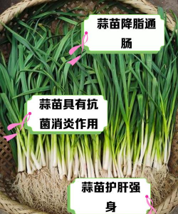 蒜苗杀菌吗 养花