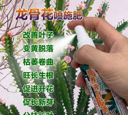家庭养花用生根粉