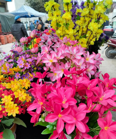 家庭养花用生根粉