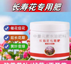 家庭养花用生根粉