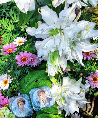 家庭养花用生根粉