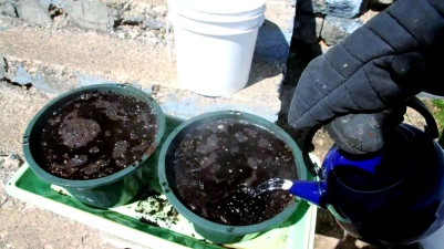 家庭养花用生根粉