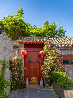 东城灯草胡同养花