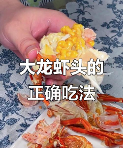 龙虾头怎么养花