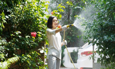 家庭养花用生根粉