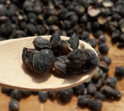 卷丹百合子怎么吃