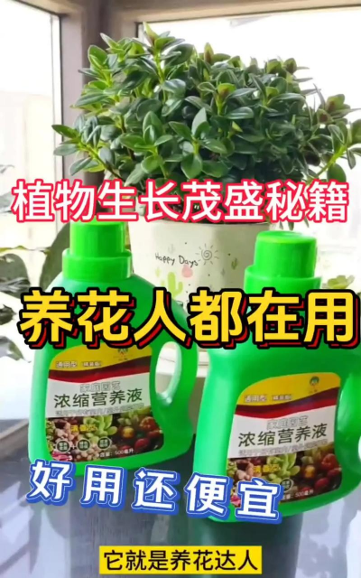 家庭养花用生根粉