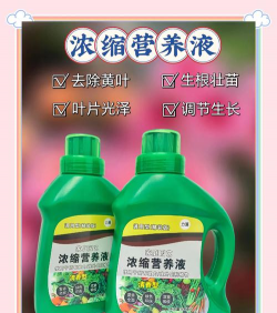 家庭养花用生根粉