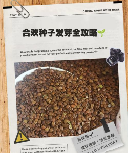 合欢花怎么种植幼苗