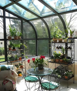 玻璃阳光养花效果 玻璃阳光养花效果