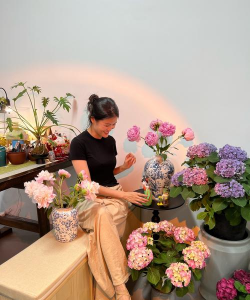 家庭养花用生根粉