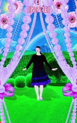 麦养花广场舞