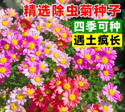 花用什么没有蚊虫