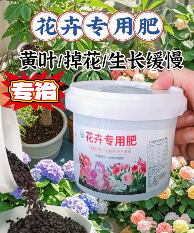 家庭养花用生根粉