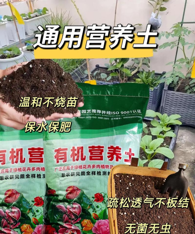 家庭养花用生根粉