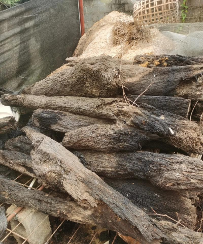 人工养花蛇木板