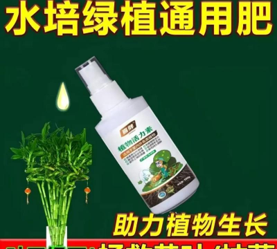 家庭养花用生根粉