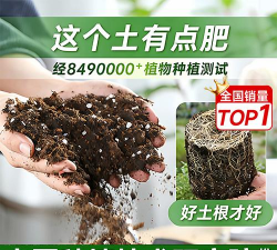 家庭养花用生根粉