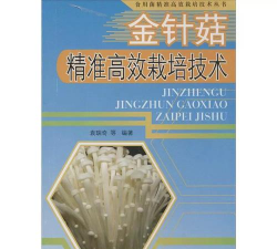 金顶菇栽培技术