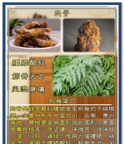 金毛狗蕨怎么用药