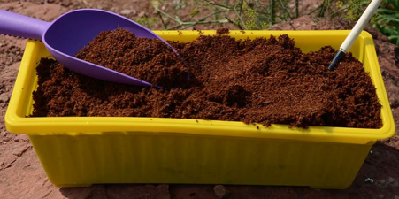 家庭养花用生根粉