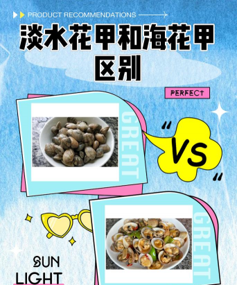 大海怎么养花甲