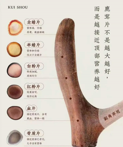 鹿茸贵不敢养花