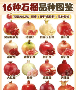 石榴又称什么果