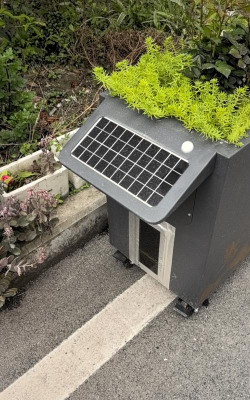 家庭养花用生根粉