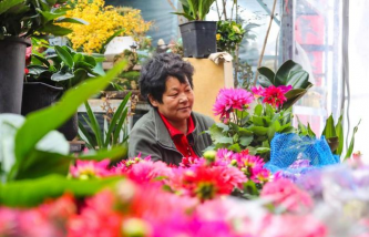 家庭养花用生根粉