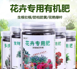 家庭养花用生根粉