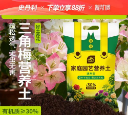 家庭养花用生根粉