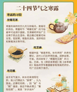 寒露节气养花攻略