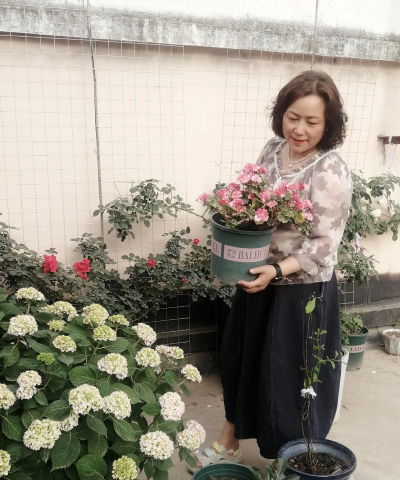 家庭养花用生根粉