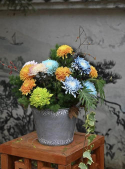 家庭养花用生根粉