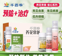 家庭养花用生根粉