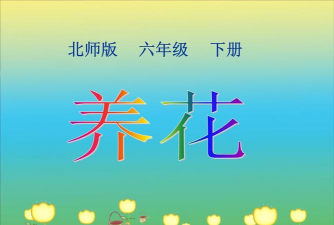 家庭养花用生根粉