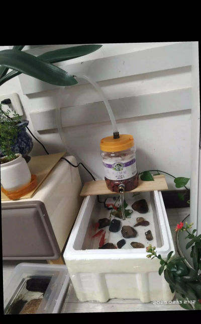 家庭养花用生根粉