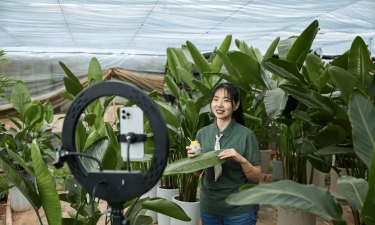 家庭养花用生根粉