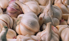 大大蒜怎样养花