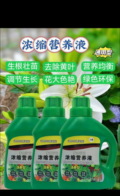 家庭养花用生根粉