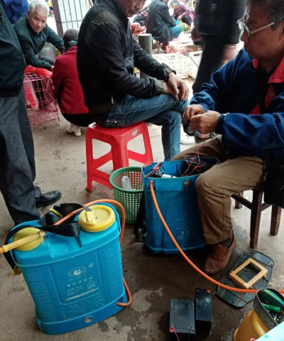 家庭养花用生根粉